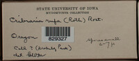 Image Associated With the Occurence